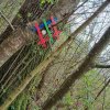 04 Aktion April 25 Feen und Wichtelwald